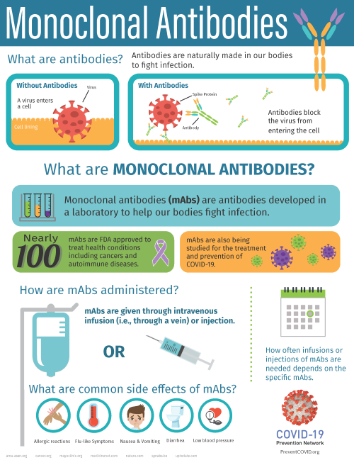 Thumbnail of an infographic describing monoclonal antibodies.
