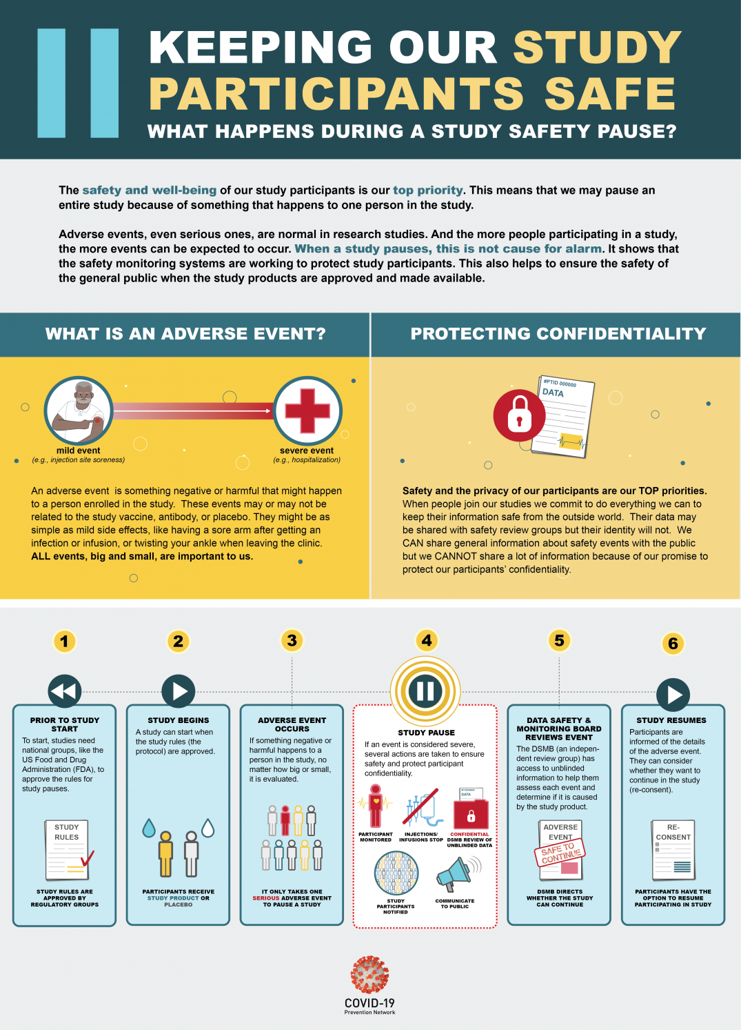 An infographic describing what happens during a study safety pause. The text below fully describes the graphic content.